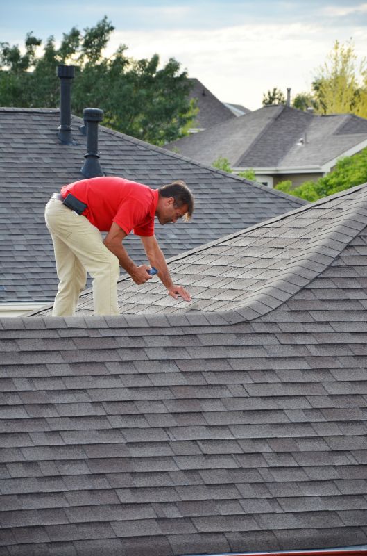 Shingle Replacement Expert